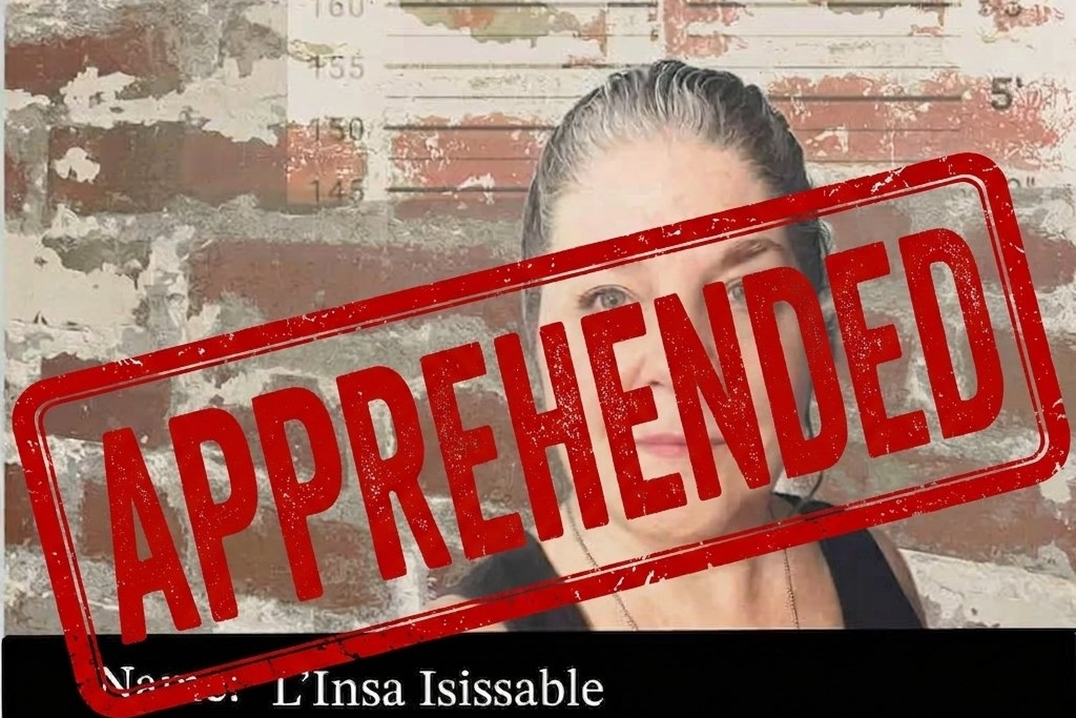Case file 06 &mdash; suspect Linsa Isissable &mdash; apprehended